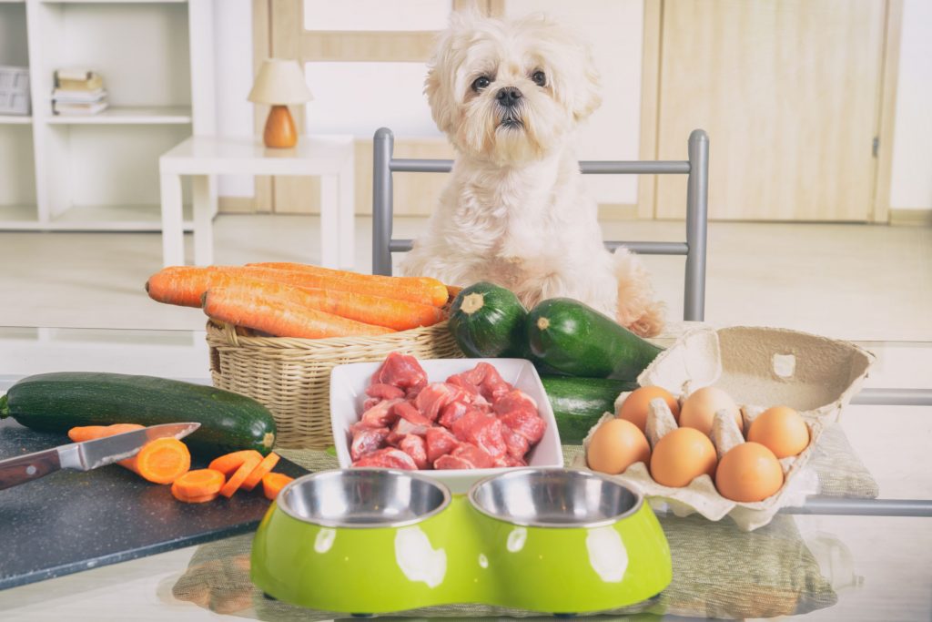 Dog sitting at table of vegetables and raw food